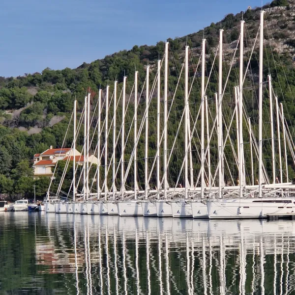 Adventure Charter, photo 3