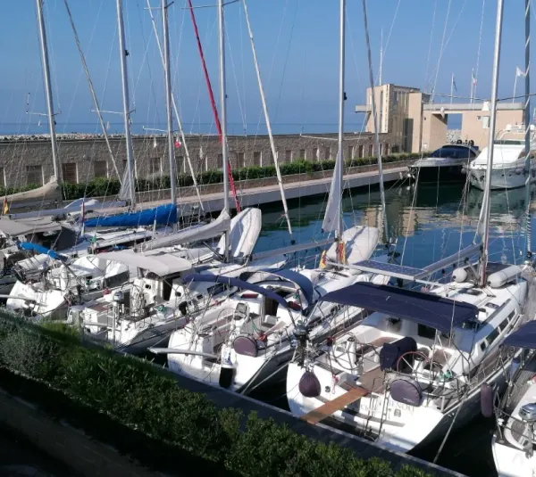 Palm Yachting, photo 1