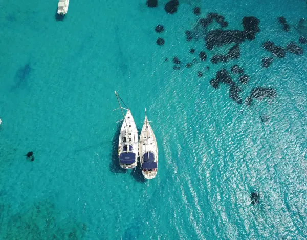 Dynamic Sailing, photo 4