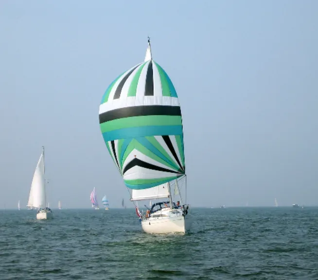 Venturi Sailing, Learn Sailing or Charter Next to Seals and Dolphins